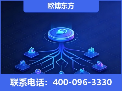 嫩江-全链豆包优化